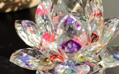 Significado da flor de lótus: quando uma joia representa transformação e recomeço